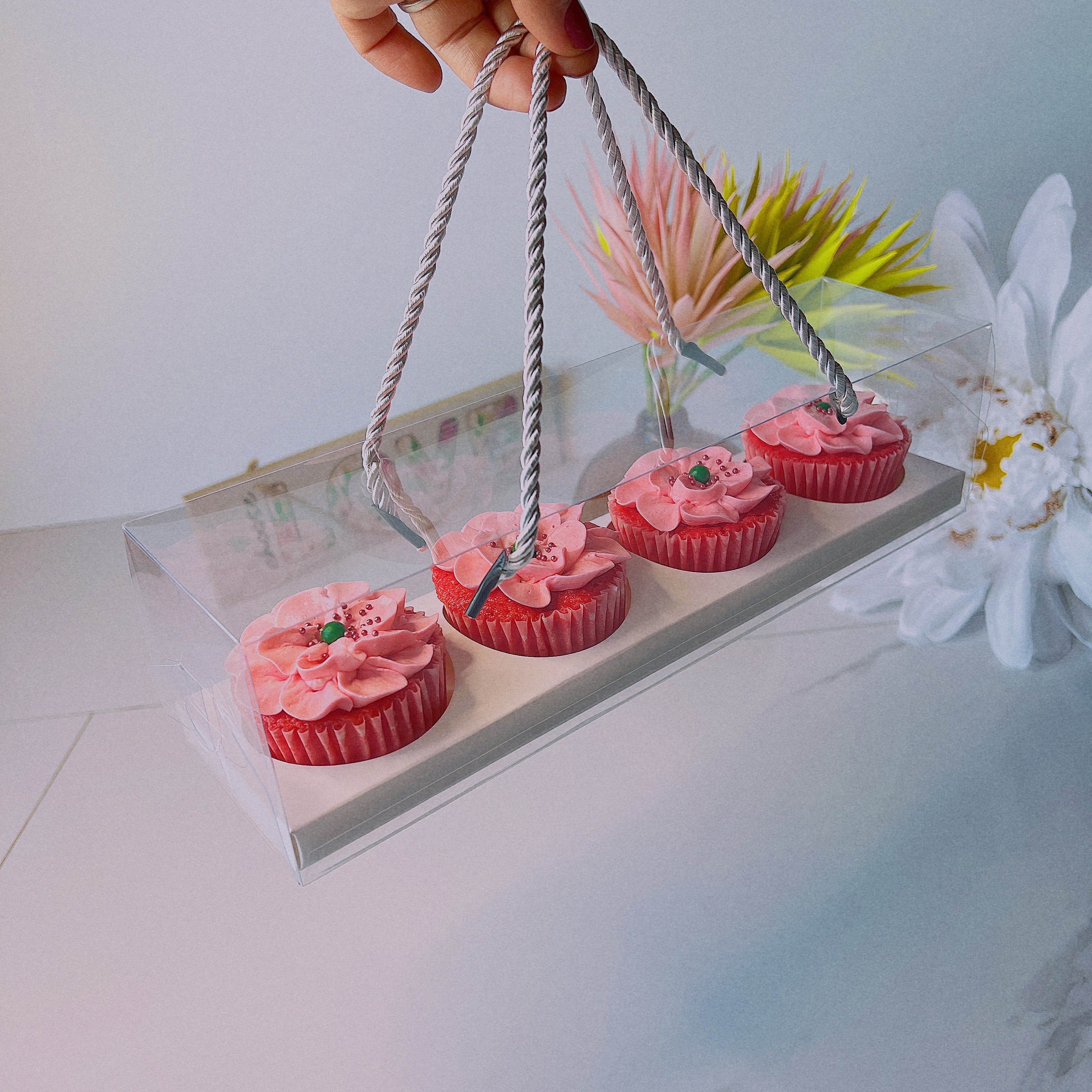 4 Clear Cavity Cupcake Box